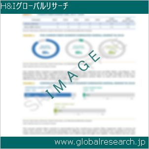グローバルリサーチ調査レポートのイメージ